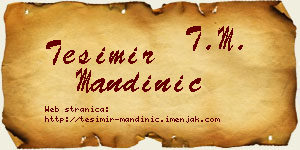 Tešimir Mandinić vizit kartica